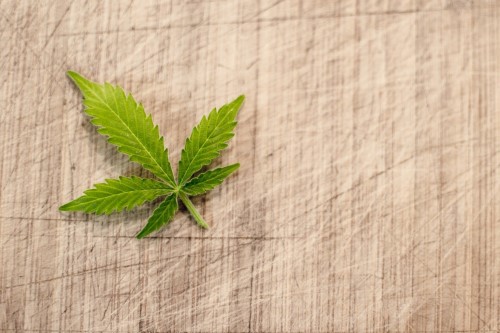 Bild zum Thema Cannabis
